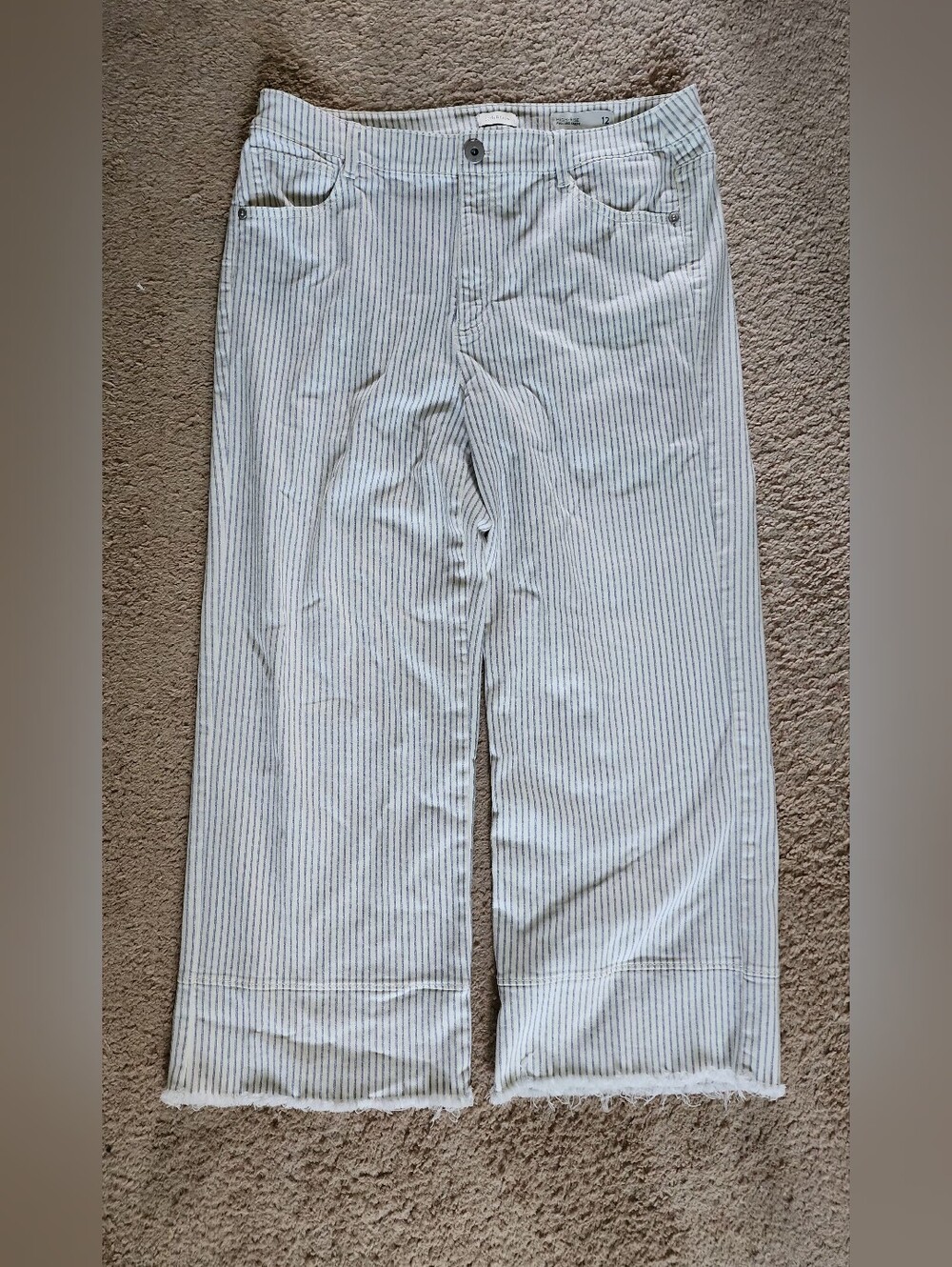 Light Blue Pinstripe Wide Leg Capri Pants By J.Jill Denim